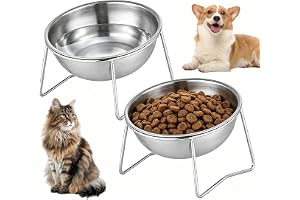 Kattskål upphöjd rostfritt stål foder och vattenskål katt 15° lutande