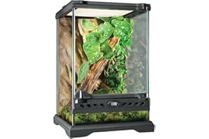 Exo Terra Terrarium aus Glas, mit einzigartiger Front Belüftung, 20 x 20 x 30cm