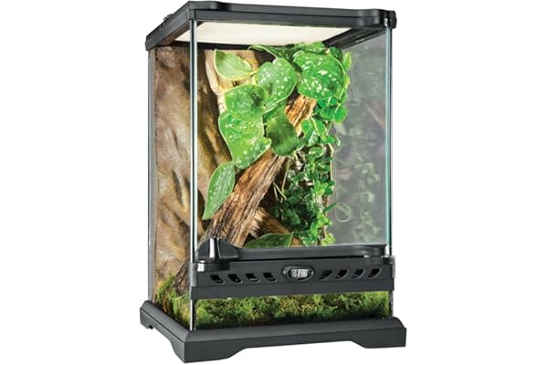 Exoterra Terrarium en Verre pour Reptiles et Amphibiens 20 x 20 x 30 cm