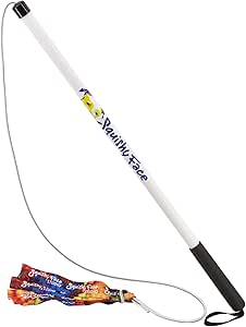 squishy face studio flirt pole