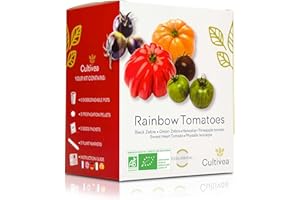 CULTIVEA Zestaw Mini Tęczowy Ogród Pomidorowy - 100% Nasiona Bio - Ogród, Udekoruj i Smakuj - Pomysł na prezent (Czarna i Zielona Zebra, Pomidor Hawajski, Słodki Pomidor Serca, Physalis Ixocarpa)!