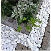 Ekodoğa Beyaz Dolomit 50 Kg 4-6 Cm Taş Dekoratif Taş Dere Taşı Bah&ccedil;e S&uuml;s Taşı Dolamit Loche No.6