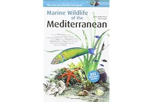 Marine Wildlife of the Mediterranean