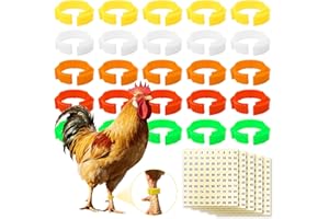 JIEHAOJIA Lot de 100 bague pour poule,Anneaux de jambe multicolores pour identification de poulet, pour canards, poussins, pigeons de mer, oie (14 mm-22 mm)