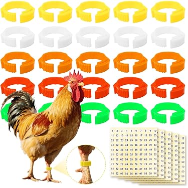 289004_8 289004_8