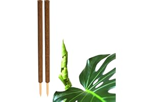 BigDean 2er Set Pflanzstäbe Kokos 110 cm - Monstera Rankhilfe Rankstäbe Stab Moosstäbe Pflanzenstäbe Kokosstäbe für Pflanzen - aus natürlicher Kokosfaser - verlängerbar