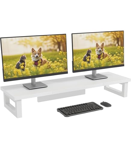 Monitor-arm voor 2 beeldschermen | Actief Dynamisch Werken