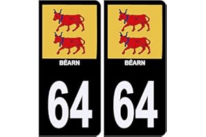 HADEXIA Autocollant Sticker Plaque d'immatriculation Voiture 64 Béarn Noir Logo Couleur
