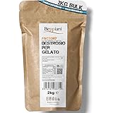 Destrosio Beppiani in polvere 2 Kg per gelati, pasticceria, sciroppo di glucosio, tè freddo, bevande rinfrescanti e ricarica 