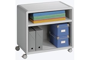 FAST PAPERFLOW PAPERFLOW DM1K2.02 Rollregal Mobil 1 Oh grau