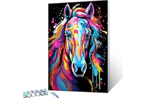 Tucocoo Kit de peinture à l'huile numérique sur toile avec pinceaux et pigments acryliques - Graffiti coloré pour décoration d'intérieur - 40,6 x 50,8 cm (sans cadre)