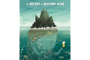 Secret du rocher noir (Le)