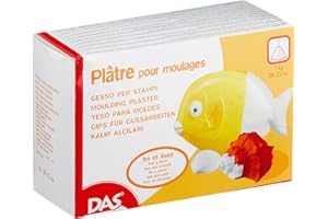 DAS - Boîte 1kg de plâtre en poudre pour moulage