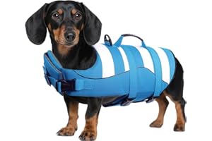 ASENKU Giubbotto di salvataggio per cani di piccola taglia, stile sportivo, con presa di salvataggio, regolabile, buona galleggiabilità, per bassotto Chihuahua Bulldog francese Labrador