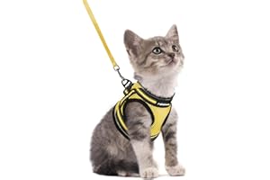 rabbitgoo Pettorina Gatto Antifuga, Guinzaglio Gatti Regolabile, Imbracatura Ultra-Leggero Morbido Riflettente per Cucciolo, Gattini e Gatto Piccolo, Pettorina per Passeggio e Corsa, S, Giallo Acceso