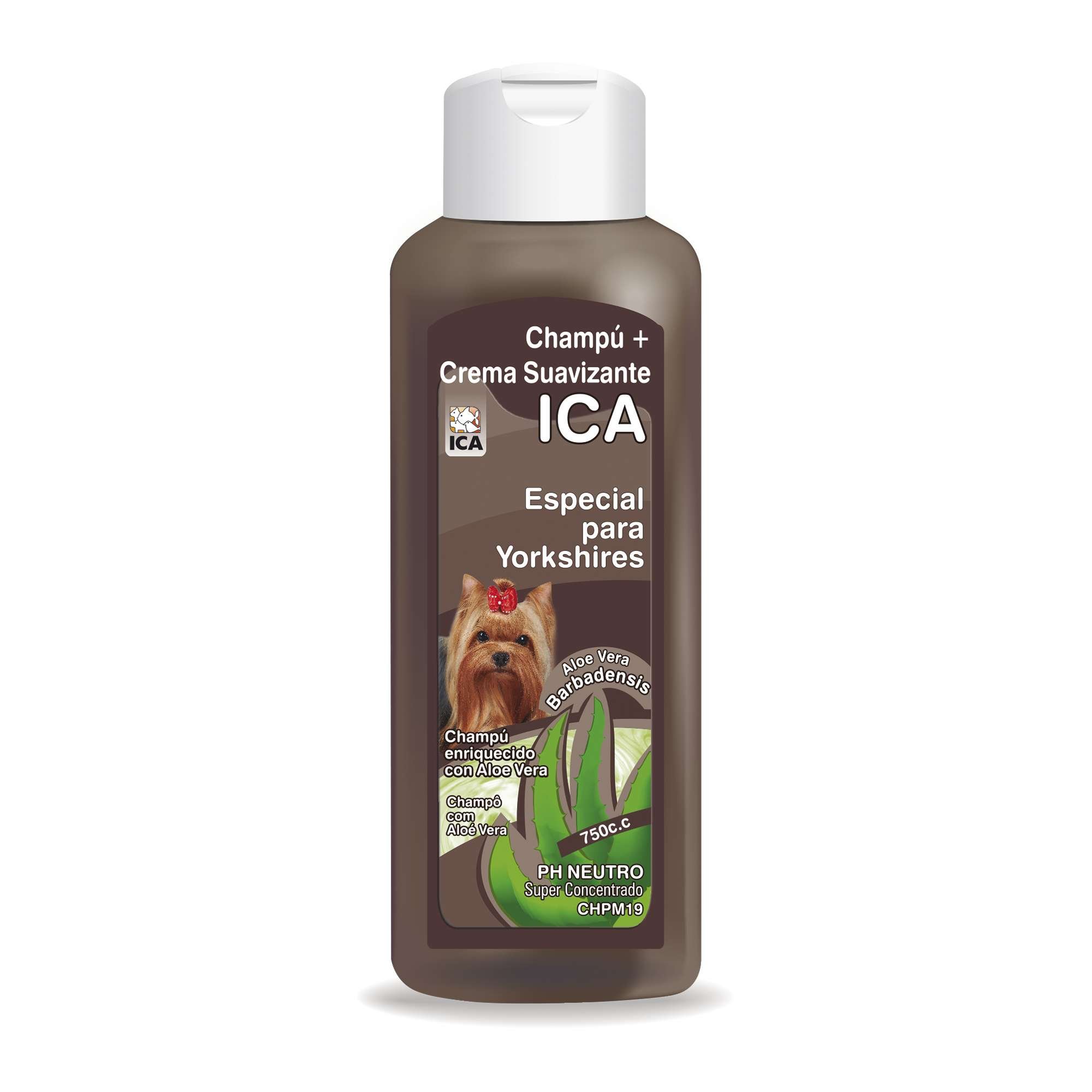ICA chpm19 Shampoo with Aloe Vera for Yorkshire Dogs.co.uk