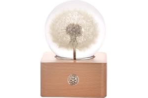 DR. PETS MISS LI GARDEN Forever kryształowa kula z mniszkiem lekarskim ze światłami LED, najlepsze prezenty dla żony, dziewczyny, kobiety, rocznicę, Dzień Matki, urodziny, walentynki, dekoracja domu (2.