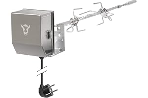 BBQ-Toro Rożen obrotowy, rożen do grilla ze stali nierdzewnej, pasuje do grilla gazowego Weber Spirit II, z 2 szpikulcami do mięsa, uchwytem i silnikiem