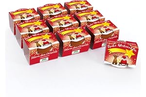 ‎BULL & BEAR Bull & Bear 10er Set Mini Pflanzset 'Frohe Weihnachten' mit Samen für Stern des Orients im Topf 4,5cm, Chrysantheme Anzuchtset mit Pflegeanleitung