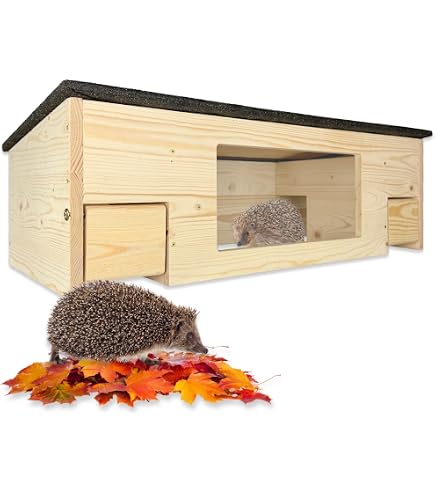 Igelfutterhaus Mit Sichtfenster – Igelhotel Aus Vollholz Mit Rattenklappe & Labyrintheingang