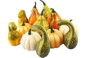 TREETDOBV 12Pcs Artificial Pumpkins and Gourds Lifelike Simulation Fake Vegetables for Decorating Fall Craft Thanksgiving Wedding Centerpieces Home Party Decor,Autumn Halloween Christmas Decorations (#1)