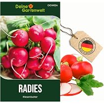 palmenbltter knstlich bunte knstliche Palmenbltter fr deine Deko zuhause  Dein Style 24