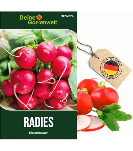 saatgut tomaten bio BIO-Saatgut-Set 