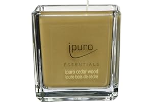 ‎IPURO ipuro - dekorative cedar wood - minimalistische & puristische Duftkerzen im Glas - intensive mit holzigen & würzigen Noten - stilvolle Kerze 125 g