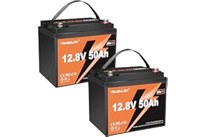 YEAGULCH 2 Unità Batteria Litio LiFePO4 12V 50Ah, 4000-15000 Cicli, con BMS 50A Integrato, Batterie Lithium Ricaricabile, per Kit Pannello Solare Impianto Fotovoltaico Camper Caravan Scooter Elettrici e UPS