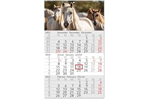 TIMR Calendrier mural 3 mois 2024 - Cheval - 3 mois - 30 x 49 cm - Multilingue - Planning annuel D/GB/F avec curseur - Motif équitation - tr_198