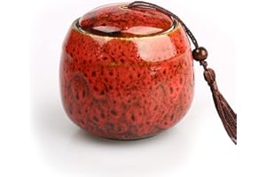 Exnemel Piccole urne per ceneri umane, mini urna per cenere per adulti, urne per animali domestici, cani, ceneri per gatti, ceneri funerali (500 ml, rosso)