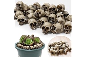 TIVUNORON 20Pcs Mini Teschi Di Halloween, Mini Teschi Scheletro Decorativi, Realistico Piccole Teste Di Scheletri Finte Per Mini Decorazione del Paesaggio, Casa Stregata, Decorazione di Halloween