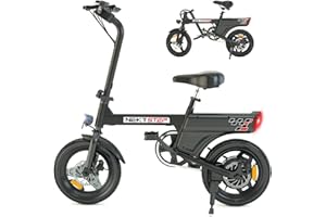 RAOO MIN E Bike, e Bike Men and Women, Bicycle Portable City Commuter, Electric Bicycle Max. 25 km/h, 250 W Motor, 20-30 km Range, Disc Brakes, LED Light and LCD Display