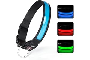 TENXSNUG Leuchthalsband Hund USB Aufladbar, Einstellbares LED Hundehalsband Leuchtend mit 3 Leuchtmodi für Kleine, Mittlere und Große Hunde, die Nachts Sicher Spazieren Gehen - Blau - S