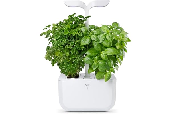 Véritable Potager d’Intérieur Exky® Classic (Blanc) - Fabriqué en France – Jardin Intelligent Compact et Autonome - Livré avec 2 Lingots®