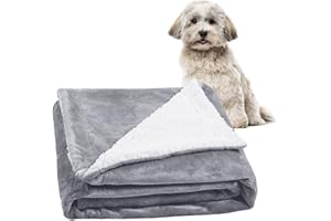 METCHIC Waterproof Dog Blanket for Small Dogs, Ultra Soft Sherpa Fleece Puppy Blanket, Pet Throw Blanket Furniture Protector (Light Grey, 24"x 32")