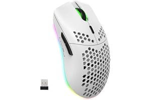 CROSS ZEBRA Mouse da Gioco Wireless, Mouse RGB Ergonomico a Guscio Leggero a Nido D'ape aa 2,4G con Batteria Ricaricabile da 750mAh, 6 Pulsanti e Ricevitore Mini USB per Windows, Mac OS, Laptop, Smart TV(Bianca)