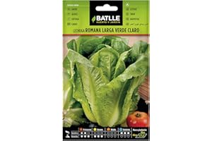 Semillas Batlle Lattuga Romana Lunga Verde