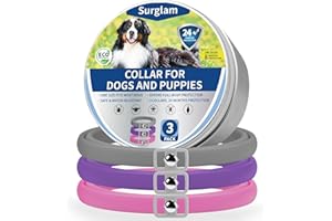 SURGLAM Collier Anti Puces Chien, Anti-Puces et Anti-Tiques Chiens Collier, 24 Mois de Protection Collier Antiparasitaire pour Chiens, Naturel Collier Antipuces Chien, Réglable Collier Répulsif Puces G-V-R