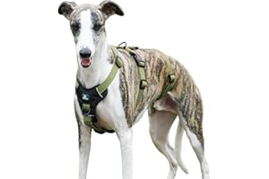 Paworld Pettorina Antifuga Cane, Pettorina Cane Taglia Media, Regolabile, Traspirante, Senza Soffocamenti, Allenamento alla Camminata (Verde,M)