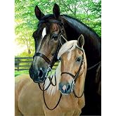 MXJSUA 5D Diamond Painting Full Drill Kits 5D Diamond Painting Set Horse Diamond Painting Pictures Adult Horses Rhinestone Glued Arts Craft Home Wall Decoration 30 x 40 cm Black Horse White Horse