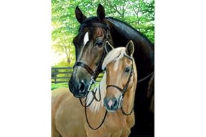 MXJSUA 5D diamant peinture Kits de forage complets strass collé Arts artisanat maison décoration murale 30x40 cm cheval noir cheval blanc