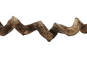 REPTILE TREASURES REPTILES PLANET Liane naturelle pour terrarium reptiles Premium Vine Sambawa S longueur 100-120 cm diamètre 2-3 cm