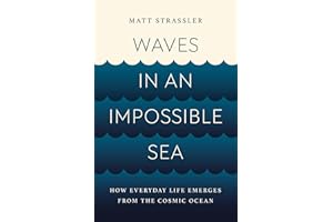 Waves in an Impossible Sea: How Everyday Life Emerges from the Cosmic Ocean