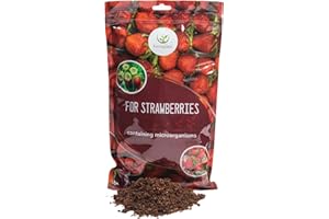 Hortulani Microbiological Strawberry Plant Food - Natural Soil Improver - Promotes Sweeter Berries & Stronger Roots - Bio-Friendly Garden Fertiliser with Growth-Boosting Organisms - 500g for 50m2