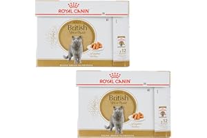 Royal Canin British Shorthair | dwupak | 2 x 12 x 85 g | mokra karma dla dorosłych brytyjskich kotów z krótkim włosiem | nadaje się od 12 miesiąca życia | małe kawałki sosu