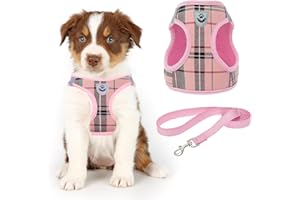 KOOLTAIL Small Dog Harness and Lead Set, Soft Mesh Plaid Puppy Harness with Safety Buckle, Adjustable & Comfortable Padded Reflective Vest for Puppies and Small Breeds Dogs Walking,Pink,X-Small