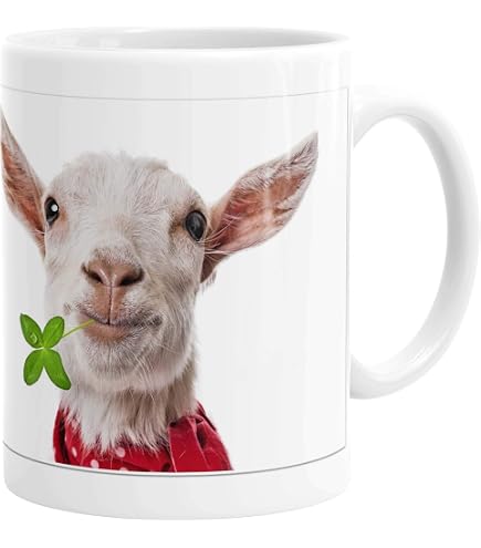 Samunshi® Spruch-Tasse „Ich Denke An Schweine“ – Keramik, 300 Ml, Schwarz/weiß | Witziger Kaffeebecher Mit Doppelseitigem Druck