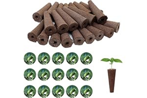 YWNYT Esponjas de Cultivo de Repuesto para AeroGarden, 50 esponjas hidropónicas y 50 Etiquetas para macetas de Semillas, de Repuesto para Crecimiento de raíces, compatibles con Aerogarden, iDOO
