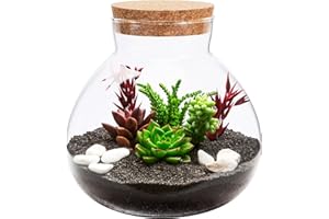 BESPORTBLE Eco-Friendly Glass Terrarium Jar with Cork Lid - Diy Micro Landscape Bottle for Succulents Ferns and Decorative Plants - Ideal for Home Office Decor and Storage